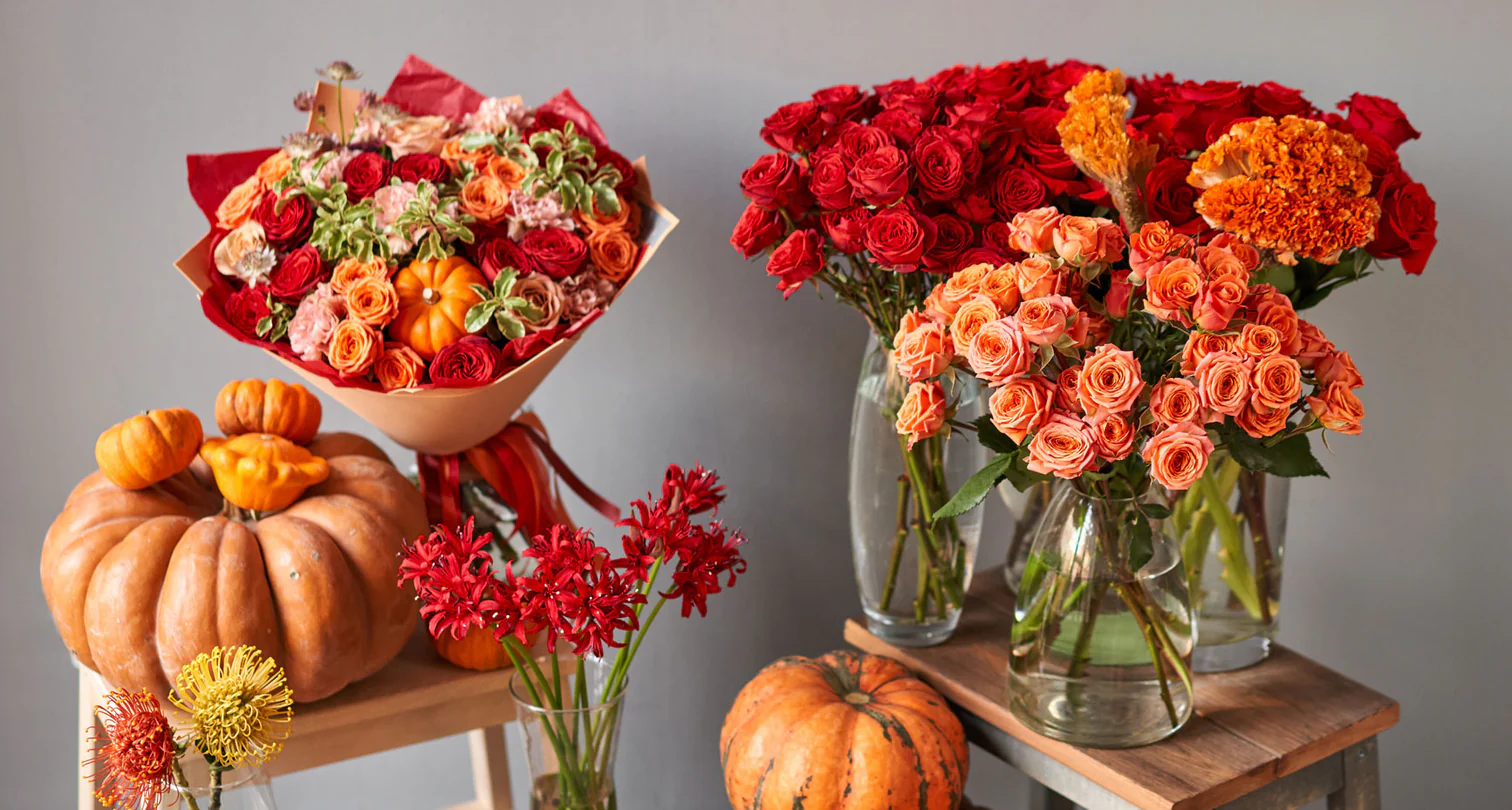 Autumn Indoor Florwer Collections